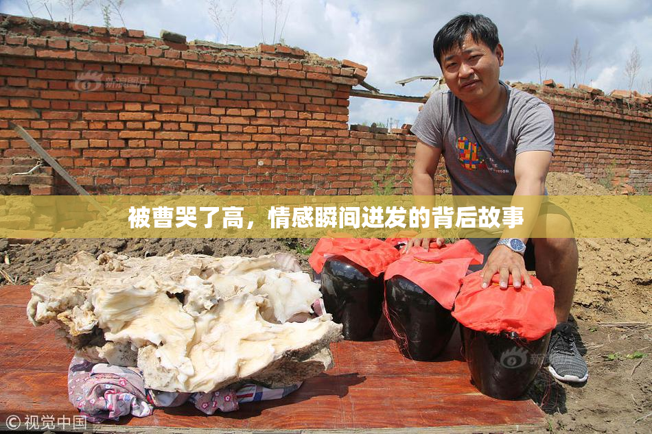 被曹哭了高，情感瞬间迸发的背后故事