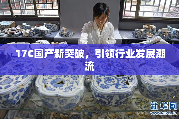 17C国产新突破，引领行业发展潮流