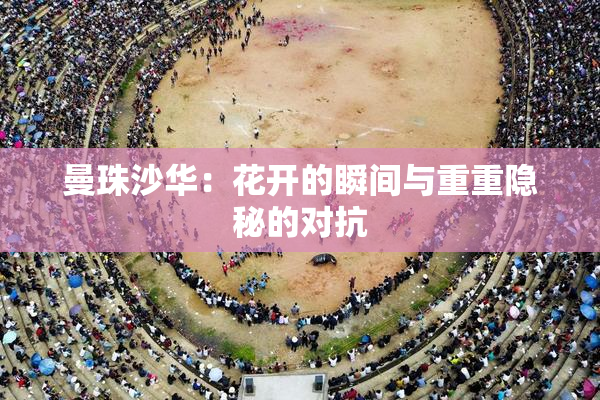 曼珠沙华：花开的瞬间与重重隐秘的对抗