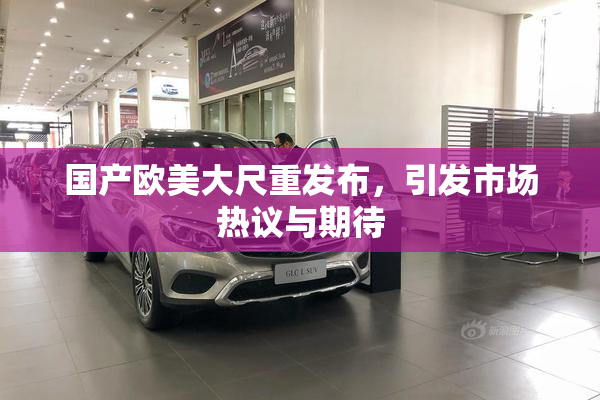 国产欧美大尺重发布，引发市场热议与期待