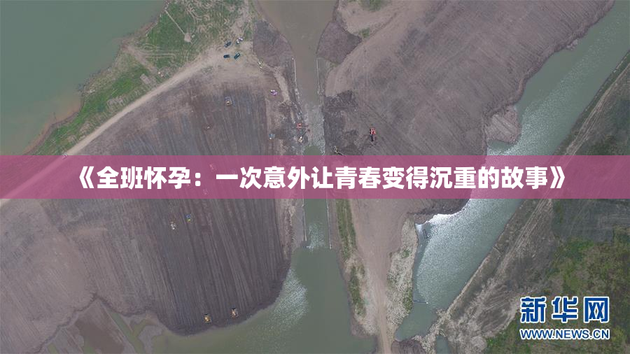 《全班怀孕：一次意外让青春变得沉重的故事》