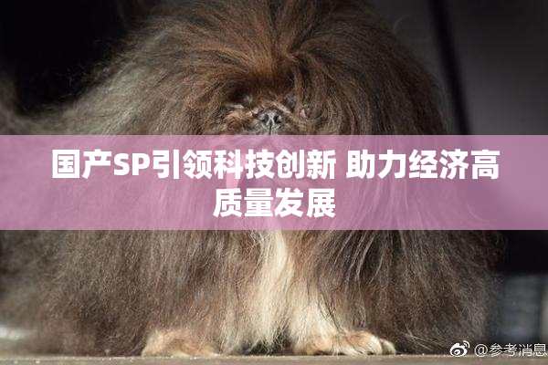 国产SP引领科技创新 助力经济高质量发展