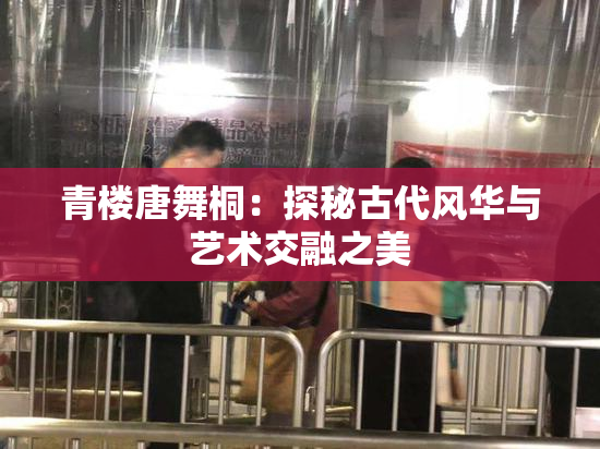 青楼唐舞桐：探秘古代风华与艺术交融之美