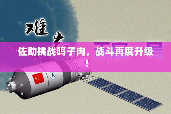 佐助挑战鸣子肉，战斗再度升级！