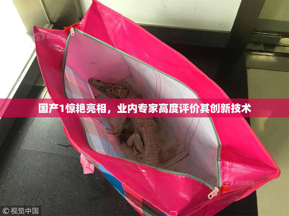 国产1惊艳亮相，业内专家高度评价其创新技术