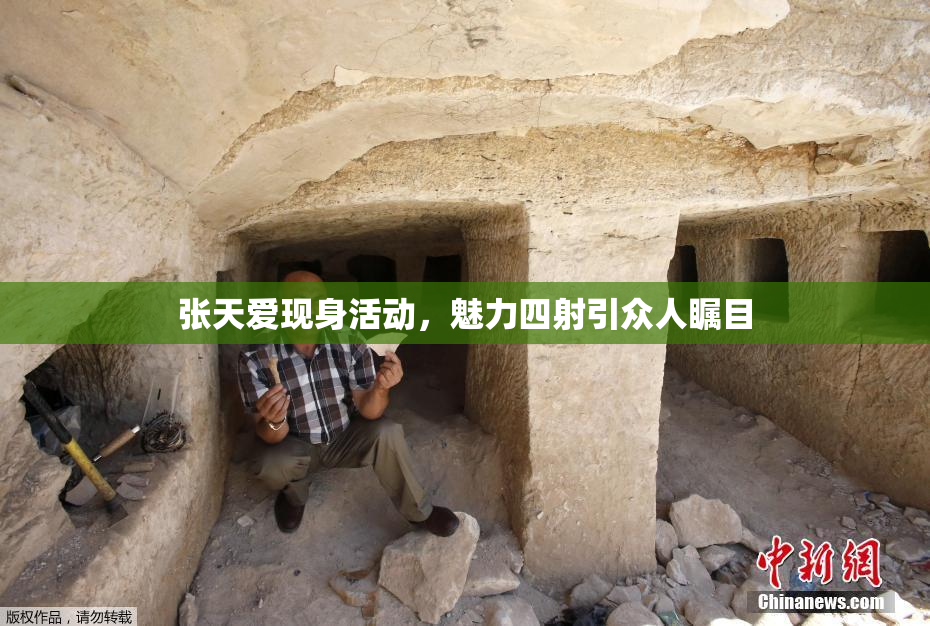 张天爱现身活动，魅力四射引众人瞩目