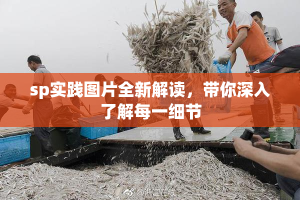 sp实践图片全新解读，带你深入了解每一细节