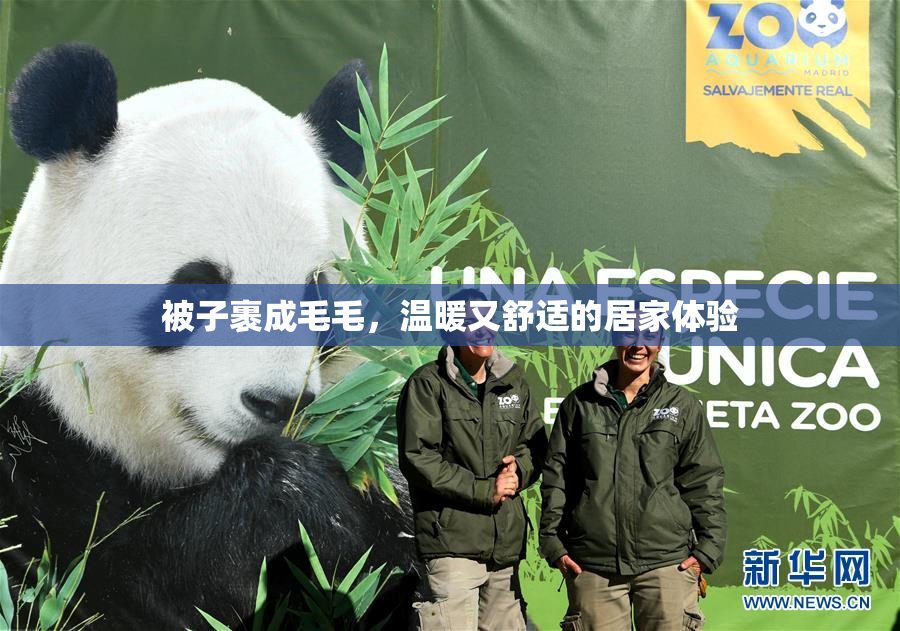 被子裹成毛毛，温暖又舒适的居家体验