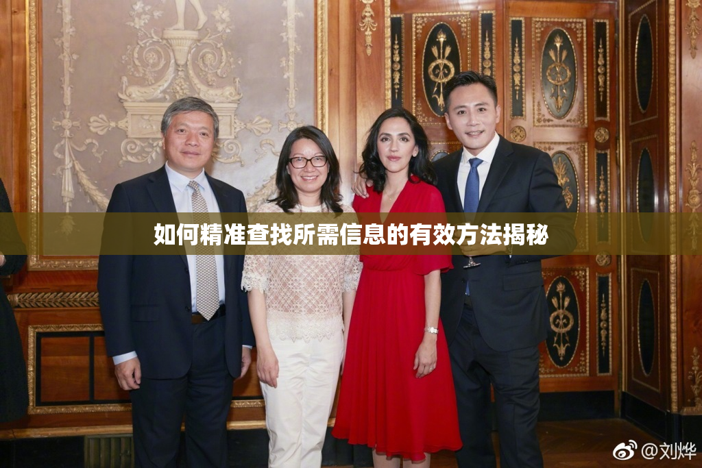 如何精准查找所需信息的有效方法揭秘