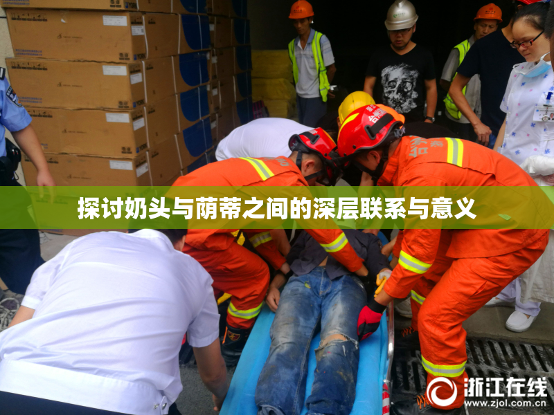 探讨奶头与荫蒂之间的深层联系与意义
