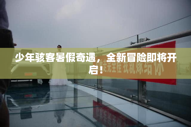 少年骇客暑假奇遇，全新冒险即将开启！