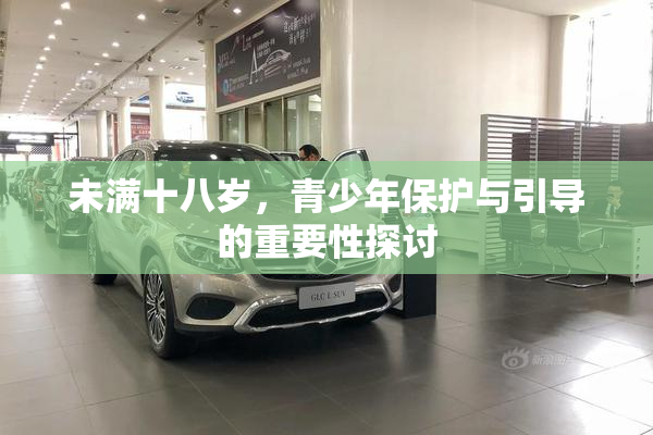 未满十八岁，青少年保护与引导的重要性探讨
