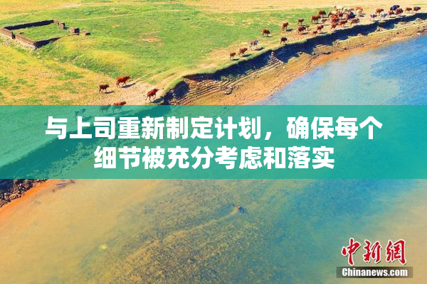 与上司重新制定计划，确保每个细节被充分考虑和落实