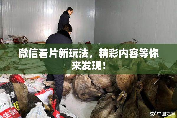 微信看片新玩法，精彩内容等你来发现！