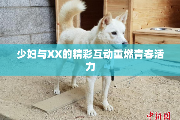 少妇与XX的精彩互动重燃青春活力