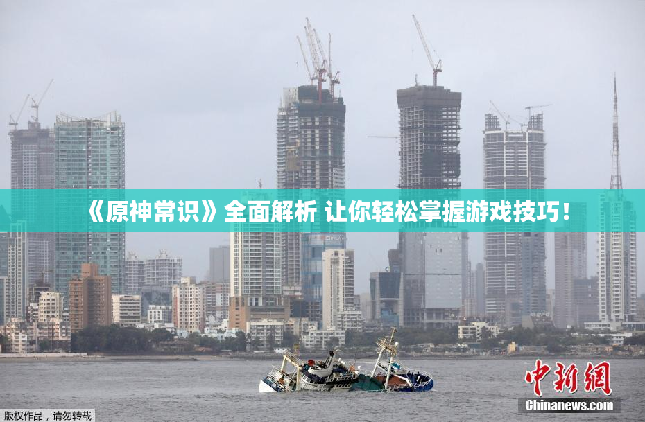 《原神常识》全面解析 让你轻松掌握游戏技巧！