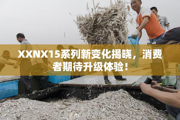XXNX15系列新变化揭晓，消费者期待升级体验！