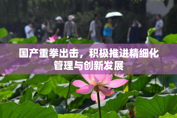 国产重拳出击，积极推进精细化管理与创新发展