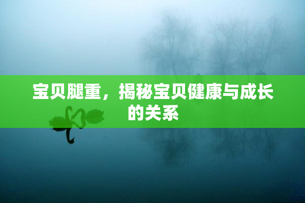 宝贝腿重，揭秘宝贝健康与成长的关系