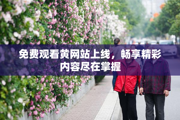 免费观看黄网站上线，畅享精彩内容尽在掌握