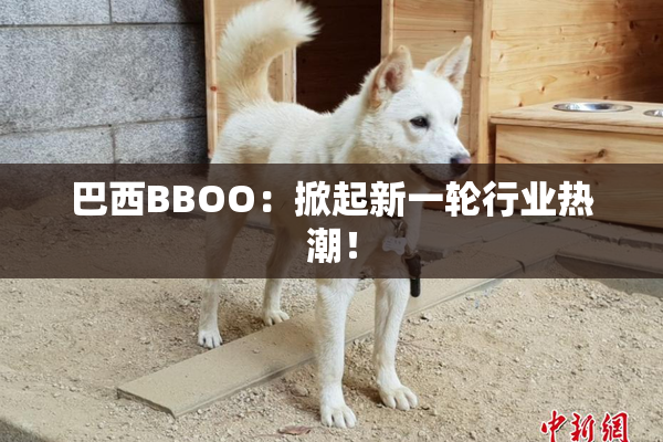 巴西BBOO：掀起新一轮行业热潮！
