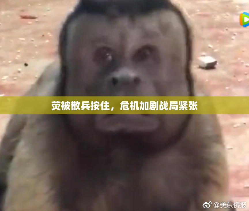 荧被散兵按住，危机加剧战局紧张