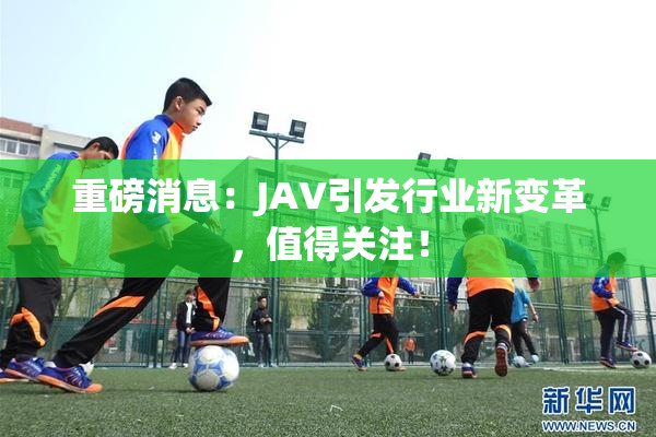 重磅消息：JAV引发行业新变革，值得关注！