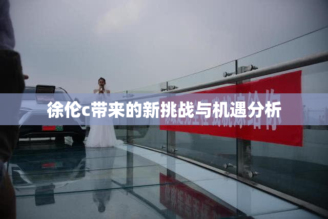 徐伦c带来的新挑战与机遇分析