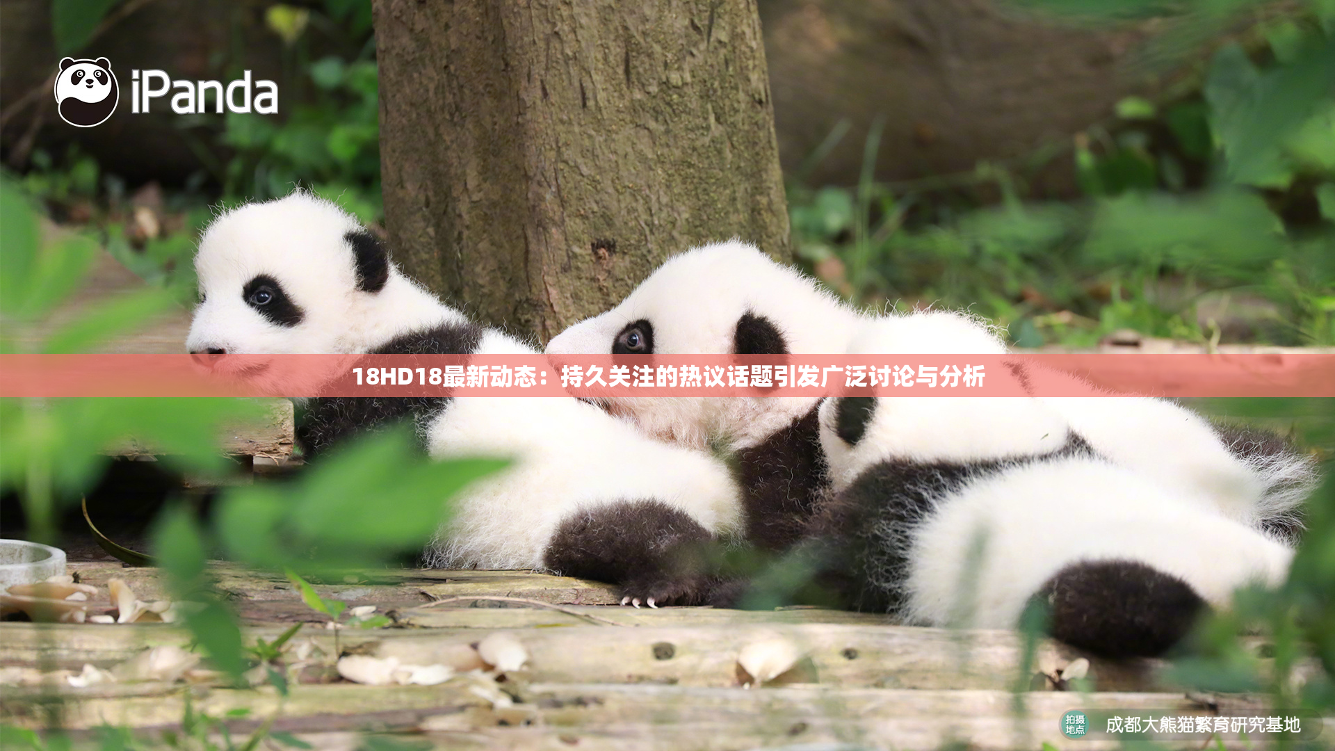18HD18最新动态：持久关注的热议话题引发广泛讨论与分析