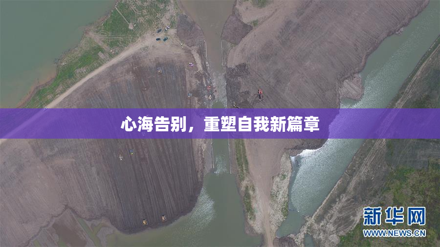 心海告别，重塑自我新篇章