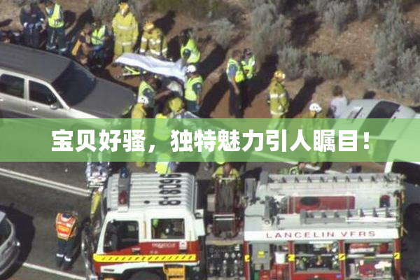 宝贝好骚，独特魅力引人瞩目！