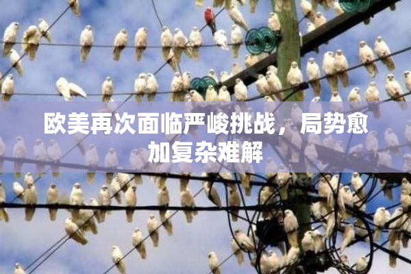欧美再次面临严峻挑战，局势愈加复杂难解