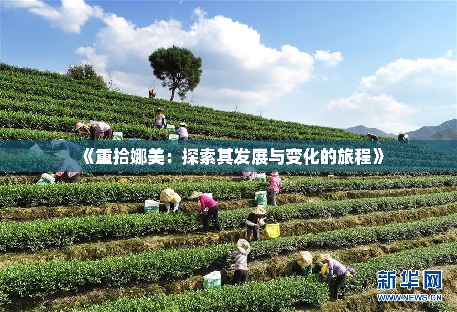 《重拾娜美：探索其发展与变化的旅程》