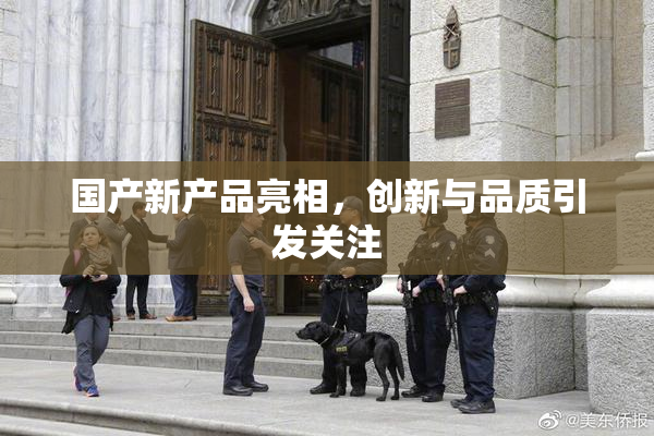 国产新产品亮相，创新与品质引发关注