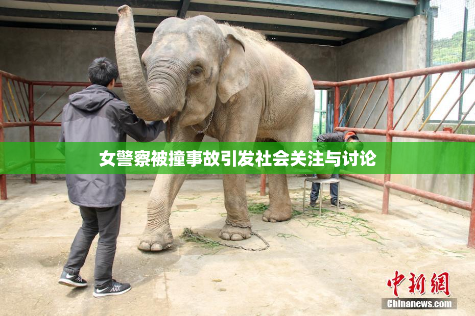 女警察被撞事故引发社会关注与讨论