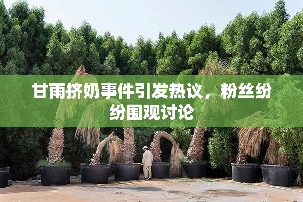 甘雨挤奶事件引发热议，粉丝纷纷围观讨论