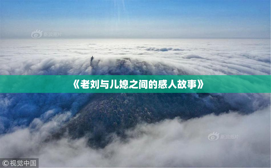 《老刘与儿媳之间的感人故事》