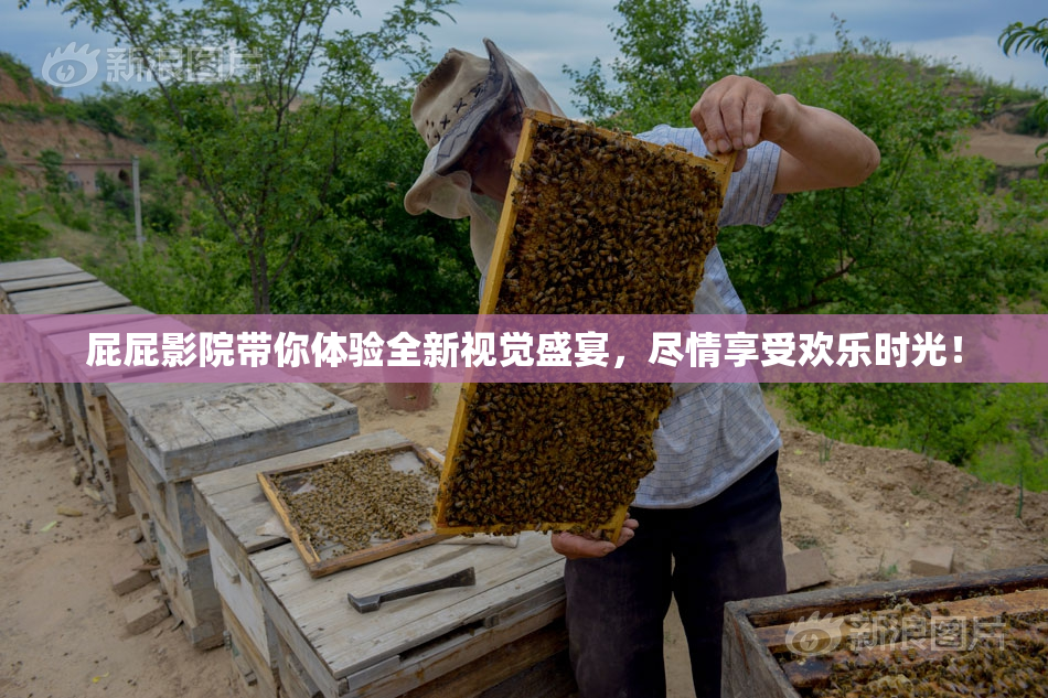 屁屁影院带你体验全新视觉盛宴，尽情享受欢乐时光！