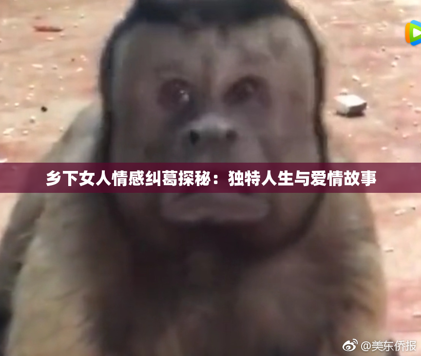 乡下女人情感纠葛探秘：独特人生与爱情故事