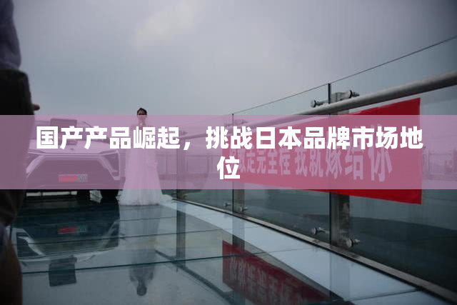 国产产品崛起，挑战日本品牌市场地位