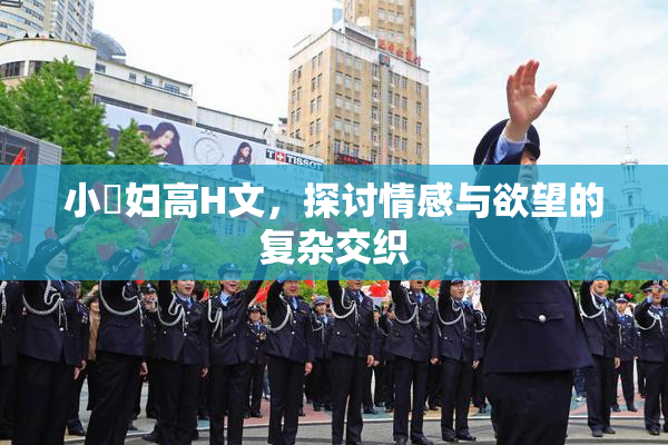 小婬妇高H文，探讨情感与欲望的复杂交织