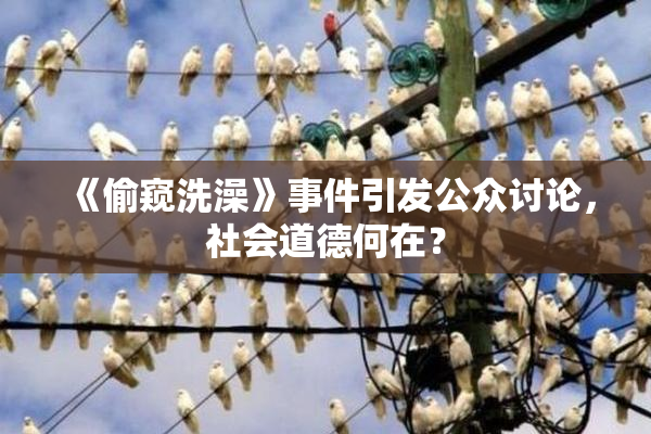 《偷窥洗澡》事件引发公众讨论，社会道德何在？