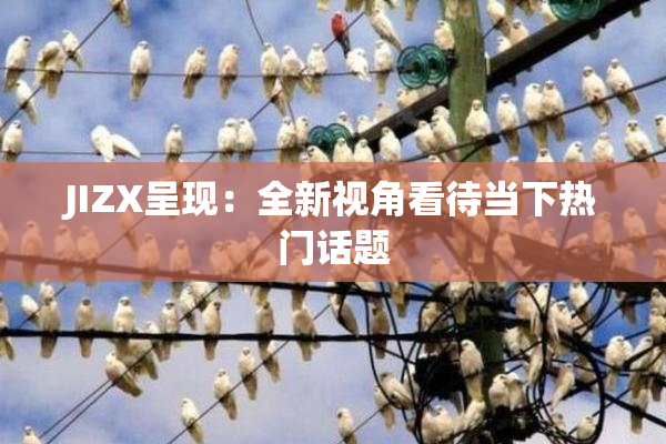 JIZX呈现：全新视角看待当下热门话题
