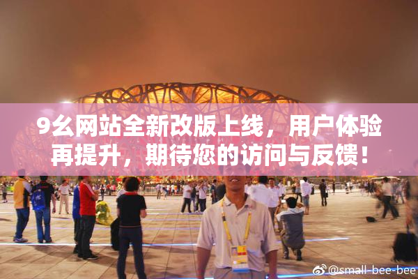 9幺网站全新改版上线，用户体验再提升，期待您的访问与反馈！