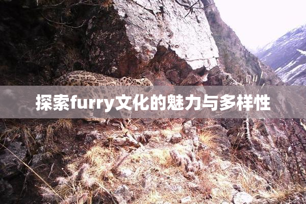 探索furry文化的魅力与多样性