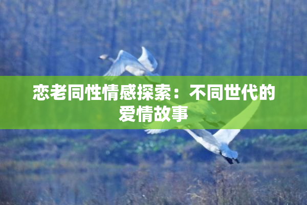 恋老同性情感探索：不同世代的爱情故事