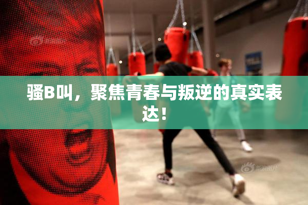 骚B叫，聚焦青春与叛逆的真实表达！