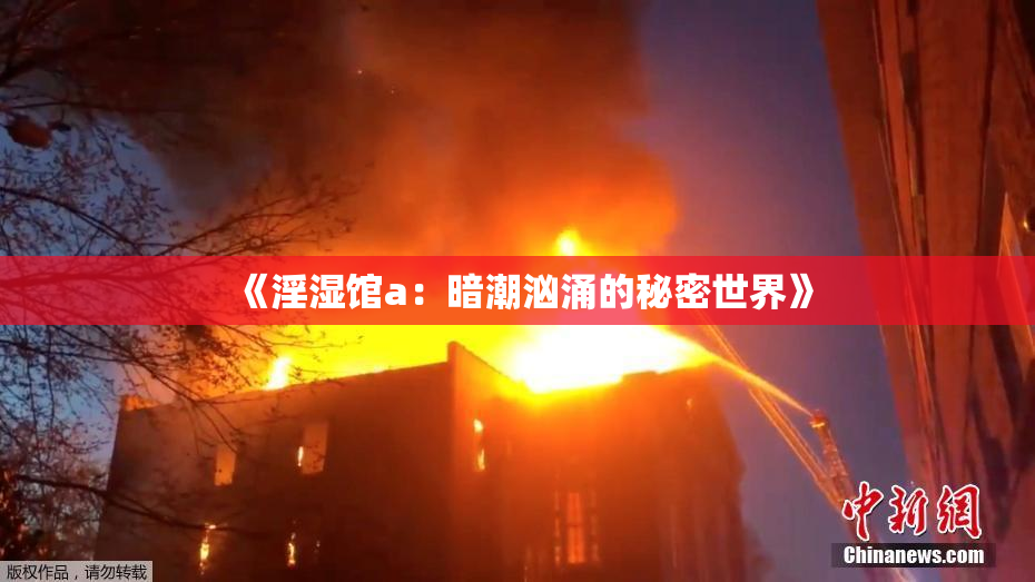 《淫湿馆a：暗潮汹涌的秘密世界》