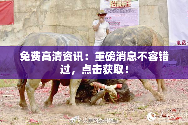 免费高清资讯：重磅消息不容错过，点击获取！
