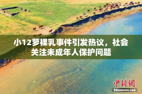 小12萝裸乳事件引发热议，社会关注未成年人保护问题